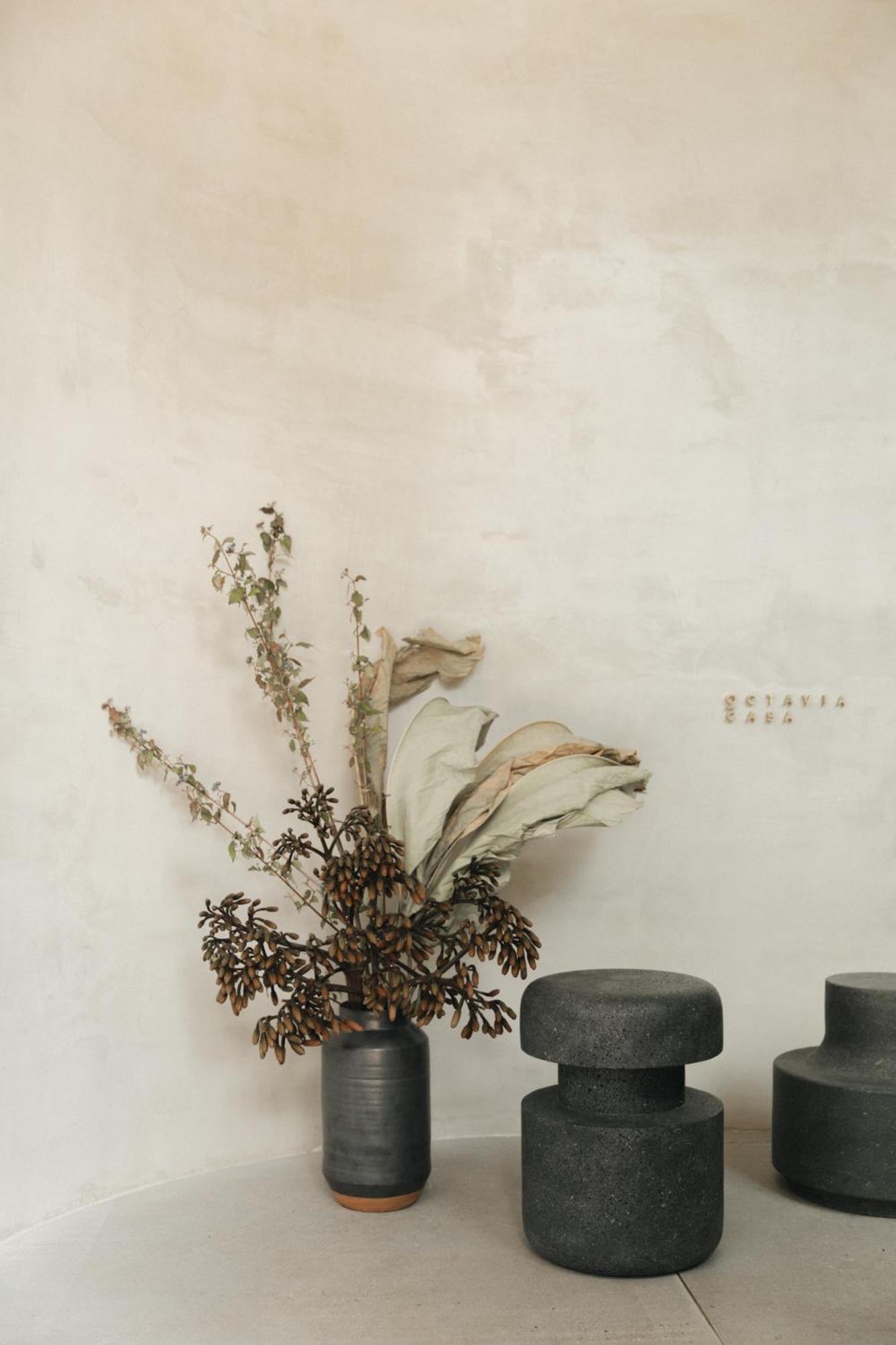 Octavia Casa Bed & Breakfast Mexico City Exterior photo